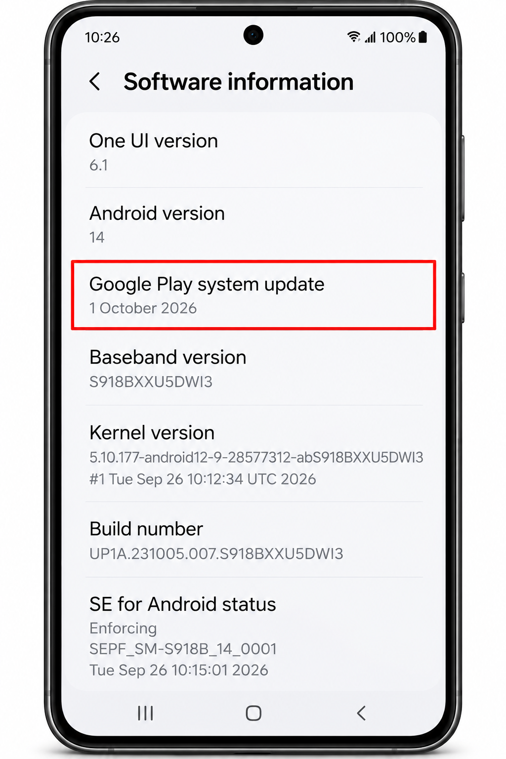 Galaxy Software information screen highlighting the Google Play system update date.